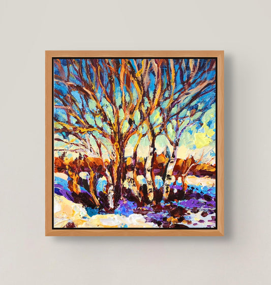 "Winter Birch Canopy"