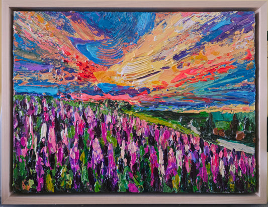 "Lupins in June"